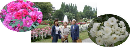 ���̉����5��20��4