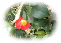 ���̉����3��26��4