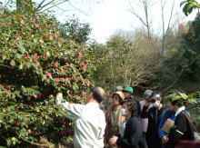 ���̉����3��26��3