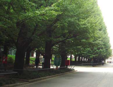 �c��`�m ��Ǖ���