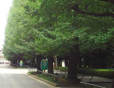 �c��`�m ��Ǖ���